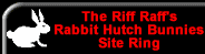 Rabbit Hutch