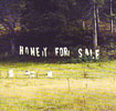 Honey For Sale CD - Click for more information
