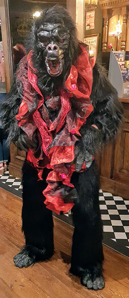 Image Copyright Josephine / TimeWarp - Click to return