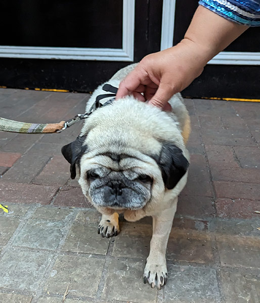 Image Copyright Shaun & Sue / TimeWarp - Click to return