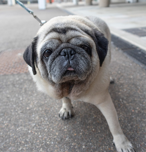 Image Copyright TWW / TimeWarp - Click to return