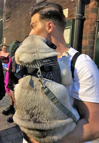 Image Copyright Pam H / TimeWarp - Click to return