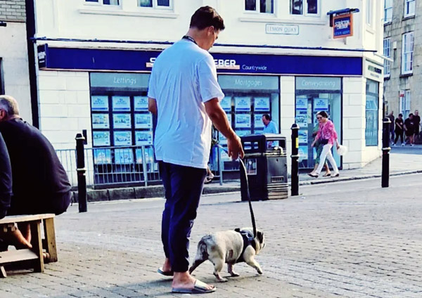 Image Copyright Rebecca / TimeWarp - Click to return