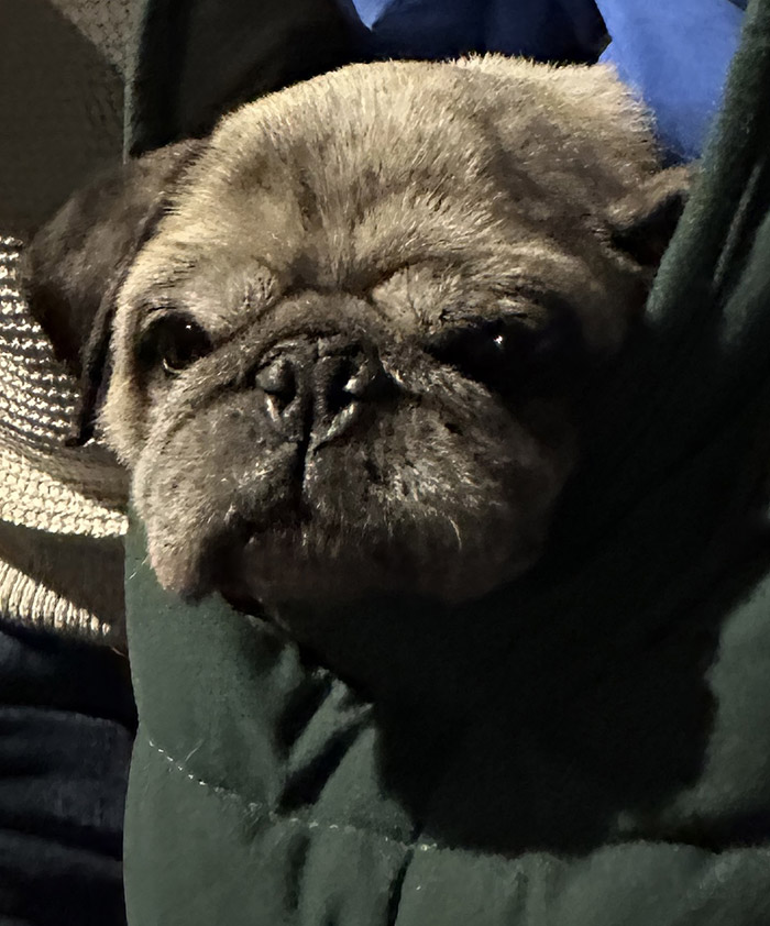 Image Copyright Pat H / TimeWarp - Click to return