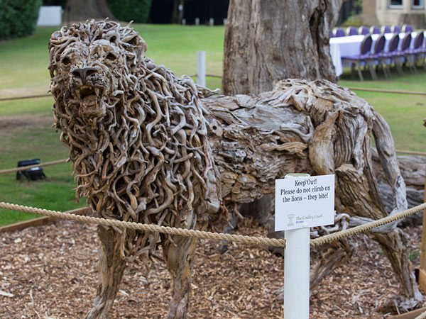 Image © TimeWarp 2013